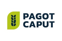 logoPagotCaput